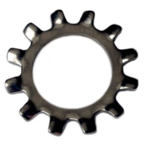 Star Washer (Serrated) Supplier in Male, Maldives